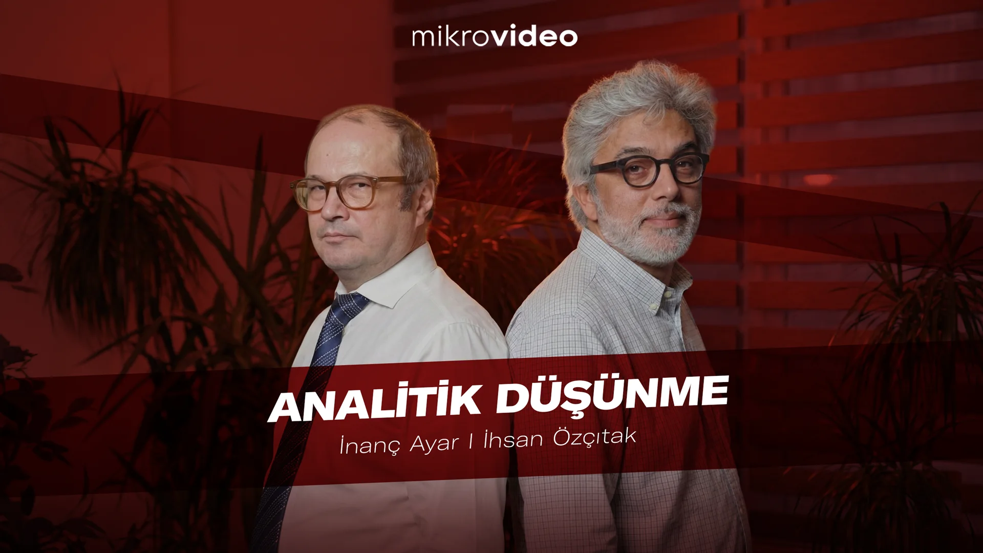 Analitik Düşünme